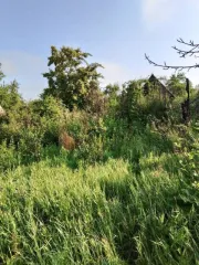 Земельный участок 446 кв.м Челябинская область, площадь 446 кв.м, адрес Российская Федерация, Челябинская область, городской округ Копейский, город Копейск, территория СНТ Кировец, земельный участок 1187, категория земель Земли населенных пунктов, разрешенное использование Для садоводства…