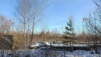 Комплекс недвижимости, 4 746,4 кв. м, Свердловская область. Здание склада технических материалов (216,5 кв. м, кад. № 66:56:0116002:1915), здание шпалотарного цеха (972,8 кв. м, кад. № 66:56:0116002:1925), здание РММ (346,5 кв. м, кад. № 66:56:0116002:1911), здание котельной (79,2 кв. м, кад. №…