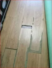 1/2 доля квартиры, 42.6 кв.м, Ростов-на-Дону, еще 1/2 доля в праве на жилое помещение, площадь: 42,6 кв.м, адрес: Россия, Ростовская обл., г. Ростов-на-Дону, Ворошиловский район, пр. Ленина, дом №119, кв. 56, кадастровый номер: 61:44:0011108:929