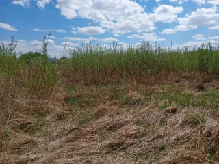 Земельный участок 1103 кв.м, Алтайский край. 1/4 доля в праве собственности на земельный участок, категория земель: земли населенных пунктов, виды разрешенного использования: для ведения личного подсобного хозяйства, кадастровый номер: 22:39:032001:12, площадь: 1103 +/- 23 кв.м., расположенный по…