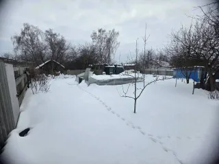 Земельный участок, 605 кв.м, Брянская область. Кадастровый (условный) номер: 32:31:0060305:5, адрес (местонахождение): Российская Федерация, Брянская область, городской округ Новозыбковский, город Новозыбков, улица Тургенева, дом 42, вид собственности: индивидуальная.