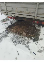 ГАЗ 33021 1998 года, бортовой грузовой автомобиль. Марка: ГАЗ, модель: 33021, год изготовления: 1998, VIN: XTH330210W1686255, мощность двигателя: 100 л.с. (73.5 кВт).