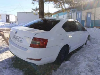 SKODA OCTAVIA, 2014 года выпуска, VIN XW8AC6NE2EH021495