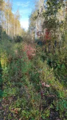 Земельный участок, 804 кв.м, адрес (местонахождение): Московская область, р-н Шатурский, сельское поселение Кривандинское, СН ТСН "Юбилейный", участок №47, кадастровый (условный) номер: 50:25:0070302:572