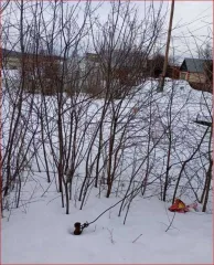 Земельный участок 348 кв.м для ведения садоводства. Свердловская область, город Красноуфимск, Коллективный сад № 2, участок № 441. Категория земель: земли населенных пунктов. Кадастровый номер: 66:52:0101003:442. На участке расположено незарегистрированное строение.