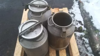 Высвобождаемое движимое военное имущество (имущество продовольственной службы). Имущество продовольственной службы 
