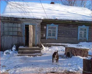 1/4 доля в земельном участке (27:16:0020602:67, площадь 2340 кв.м) и расположенном на нем жилом доме (27:16:0020602:287, площадь 46.6 кв.м) по адресу: Хабаровский край, Ульчский район, поселок Циммермановка, улица Железнодорожная, дом 8.
