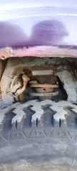 Лот №1 Легковой автомобиль, марка: ВАЗ, модель: 21312, год изготовления: 1998, VIN: XTA213100X1385886, г/н: К691АВ193. Тех.описание: Требует вложений. Двигатель стоит контрактный требует ремонт. Заводской двигатель есть, но нужен капитальный ремонт. Очень дымит и большой расход масла. Передний мост…