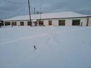 Здание детского сада Площадью 199,2 кв.м. Кадастровый номер: 66:623:0401001:646 Здание детского сада Площадью 431,2 кв.м. Кадастровый номер:66:23:0401001:645 Земельный участок Площадью 5035 кв.м. Категория земель: земли населенных               пунктов – дошкольное, начальное  и среднее общее…
