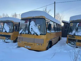ПАЗ 32053-70, 2017 года изготовления, VIN X1M3205BXH0001803. Автобус для перевозки детей. ПТС 52 ОС 329102 от 15.06.2017 г., модель, № двигателя 523420 Н1001833, кузов № Х1М3205ВХН0001803, цвет желтый, государственный регистрационный номер Т785УХ55. Объем двигателя: 4670 куб. см.