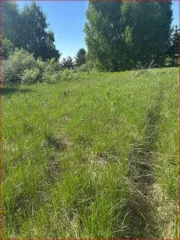 Земельный участок 600 кв.м в Нижегородской области, Городецкий район, Мошковский сельсовет, СНТ "Березка". Кадастровый номер: 52:15:0120401:388. Категория земель: сельскохозяйственного назначения. Вид разрешенного использования: садоводство.