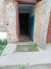 Доля 1/3 в комнате 18,2 м² по адресу: Россия, Республика Коми, г. Сыктывкар, пгт. Краснозатонский, ул. Ломоносова, дом 50, комната 125, кадастровый номер: 11:05:0401011:1118. В ЕГРН имеется непогашенная ипотека в пользу физического лица; возможна регистрация несовершеннолетних.