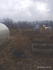 Земельный участок для ведения садоводства площадью 351 +/- 7 кв.м, кадастровый номер 66:07:1002001:733, адрес: Свердловская область, город Богданович, садоводческое некоммерческое товарищество коллективный сад "Восход" участок № 45. Здание нежилое площадью 15 кв.м, кадастровый номер…