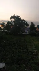 Дом 42,6 кв.м. и земельный участок 664 кв.м. в Рязанской области, г. Скопин, ул. Рабочая, д. 33. Кадастровый номер дома: 62:28:0030518:22, кадастровый номер участка: 62:28:0030518:9.