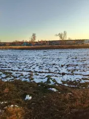 Земельный участок 2750 кв.м в Иркутской области, Братский район, село Калтук, улица Спортивная, дом 7. Назначение: земли населенных пунктов. Кадастровый номер: 38:02:130101:2062.