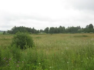 Земельный участок 2400 кв.м, КН 50:06:0110101:798, Московская область, площадь земельного участка: 2400, кадастровый номер земельного участка: 50:06:0110101:798, основной вид разрешенного использования: 13.2