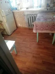 Жилое помещение, площадь: 32,4 кв.м., кадастровый номер: 18:10:022024:173
Адрес (местонахождение): Удмуртская Республика, р-н. Камбарский, г. Камбарка, ул. Нагорная, д. 26, кв. 16