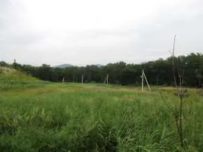 Земельный участок и нежилые помещения 233,2 кв.м Приморский край Земельный участок кадастровый номер 25:13:030209:1328 площадью 19822 кв.м категория земель: Земли населенных пунктов виды разрешенного использования: склады адрес местоположению: местоположение установлено относительно ориентира…