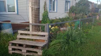 Доля квартиры 63.9 кв.м в Челябинской области. 1/4 доля квартиры, еще 1/4 доля квартиры, еще 1/4 доля в праве на жилое помещение. Площадь: 63,9 кв.м. Адрес: Челябинская область, Красноармейский район, село Калуга-Соловьевка, улица Лесная, дом 9, квартира 1. Кадастровый номер: 74:12:1609005:99.