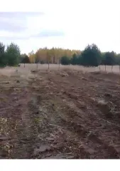 Земельный участок 2436 кв.м, Свердловская обл., 2436 кв.м, площадь: 2 436кв.м., адрес (местонахождение): 622000, Свердловская обл, Пригородный р-н, правее автодороги на с.Петрокаменское, при выезде из с.Николо-Павловское, участок №103, кадастровый номер: 66:19:1909003:944, Категория земель: Земли…