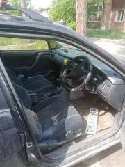 Toyota Caldina, 1995. Рег. знак В141ЕЕ124. Номер кузова ST1950078524.