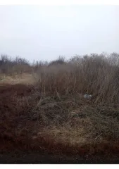 Земельный участок, 468 кв.м, Оренбургская обл., Шарлыкский р-н, с. Шарлык, СТ Рассвет. Земельный участок в Оренбургской обл., 468 кв.м, площадь: 468 кв.м, адрес (местонахождение): Оренбургская обл, р-н Шарлыкский, с Шарлык, С.Т. Рассвет, категория земель: Земли населенных пунктов, разрешенное…