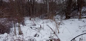 Доля в жилом помещении 29,2 кв.м., Брянская область: 1/20 доли в праве на жилое помещение общей площадью 29,2 кв.м., кадастровый номер 32:02:0150101:1228; 15/20 доли в праве на жилое помещение общей площадью 29,2 кв.м., кадастровый номер 32:02:0150101:1228, расположенное по адресу: Брянская…