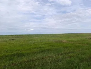 Право аренды земельного участка с кадастровым номером 90:07:150401:359 площадью 143367 кв. м категории земли сельскохозяйственного назначения с видом разрешенного использования выращивание зерновых и иных сельскохозяйственных культур расположенного по адресу Республика Крым р-н Ленинский…