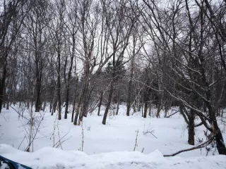 Лот 1 Право на заключение договора аренды земельного участка (годовой размер арендной платы), с кадастровым номером 65:05:0000076:170, площадью 2000 кв.м., местоположение: Сахалинская область, Анивский район, г. Анива, границы земельного участка указаны в выписке из Единого государственного реестра…