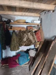 Доли гаража (20,1 кв.м) и земельного участка (24 кв.м), Пермский край; 7/8 доли в праве на нежилое здание, площадь: 20,1 кв.м, кадастровый номер: 59:10:0106009:70 и 7/8 доли в праве на земельный участок, площадь: 24 кв.м, категория земель: земли населенных пунктов, разрешенное использование…