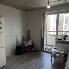 Квартира 24,3 кв.м, 47:14:0504001:12344, Новоселье, улица Петропавловская, д.13, кв.115, Ленинградская область, Ломоносовский муниципальный район, Аннинское городское поселение, гп. Новоселье.