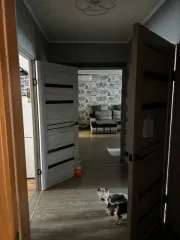 Дом 101,6 кв.м и участок 896 кв.м в Челябинской области, поселок Синий Бор, улица Молодежная, дом 5. Кадастровый номер дома: 74:21:0204007:97, земельного участка: 74:21:0204007:51.