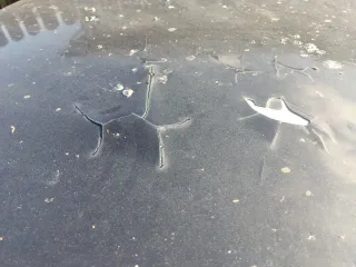 Cadillac STS 2005 года, модель STS. VIN: X4XDC67A150000019.