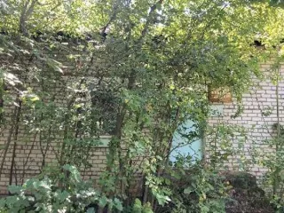 Земельный участок 2246 кв.м и здание баклаборатории 186,3 кв.м, Пермский край. Земельный участок площадью 2246 кв.м с кадастровым номером 59:38:0310132:6, с расположенным на нем объектом недвижимого имущества – здание баклаборатории, по адресу: Пермский край, Частинский р-н, с. Частые, ул…