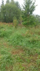 Здание 8 кв.м и земельный участок 800 кв.м в Калужской области, Боровский район, деревня Шемякино. Участок для ведения личного подсобного хозяйства, площадь 800 +/-12 кв.м, кадастровый номер 40:03:050801:578. Нежилое здание площадью 8 кв. м, кадастровый номер 40:03:050801:779. Доля в праве…