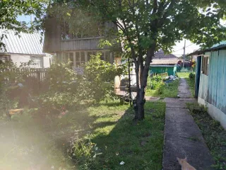 Дом 74,8 кв.м и участок 1324 кв.м, Самарская область. Дом, площадью 74,8 кв.м, с кадастровым номером 63:37:0702002:8342, расположенный на земельном участке, площадью 1 324 кв.м, с кадастровым номером 63:37:0702002:8314; адрес: Российская Федерация, Самарская область, Шигонский, с. Новодевичье…