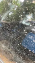 Mazda 6 легковой автомобиль марки Мазда 6, год выпуска не установлен, VIN: JMZGG128261625225, г/н А031ОМ 82. Имущество продается в том виде, в каком оно есть, в случае продажи возврату/обмену не подлежит. За скрытые дефекты имущества продавец ответственности не несет. Вид транспорта: легковой…