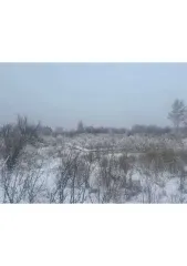 Земельный участок 567 кв.м., адрес (местонахождение): Респ. Хакасия, г. Абакан, ул. Четырнадцатая, д. 92, кадастровый номер: 19:01:130501:1110.