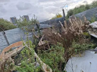 Кузов автомобиля 2109, белого цвета, без г/н, номерные обозначения не обнаружены, рабочее состояние и комплектность не проверялось, документы и ключи отсутствуют, находится в г. Красноярск; кузов автомобиля 21093, серебристо-золотого цвета, без г/н, номерные обозначения не обнаружены, рабочее…