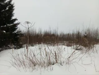 Земельный участок 1715+/-14 кв.м, Пермский край, Оханск, ул. Радужная. Назначение: 1 этажный индивидуальный жилой дом с приусадебным участком, адрес (местонахождение): Российская Федерация, Пермский край, город Оханск, муниципальный округ Оханский, улица Радужная, з/у 11, кадастровый (условный)…