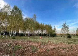 Продажа имущества Несина Сергея Николаевича. Земельный участок  для индивидуального жилищного строительства , площадью 1100 кв. м., кадастровый номер 50:33:0010101:1199, адрес  местоположение  объекта: Московская обл., г.о. Ступино, с. Семеновское Лот №1  Лот №1 Земельный участок  для…