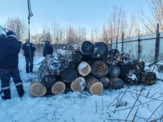 Пиловочник осина 3.46 куб.м