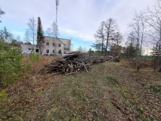 Древесина сосна, береза, осина, ива 11.8 куб.м. Древесина породы сосна в виде распиленных на части в длину 1-3 м стволов деревьев - 16 шт., объемом 1 куб.м.; древесина породы береза в виде распиленных на части длину 1-3 м стволов деревьев - 20 шт., объемом 2,2 куб.м; древесина породы осина в виде…