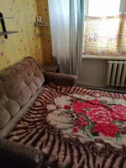 Комната 12,8 кв.м, Саратовская область, 8/10 доли комнаты в Саратове, квартира, площадь 12.8 кв.м., адрес: Россия, обл Саратовская, г Саратов, ул Мало-Елшанская, д 18, кв 1, ком 8, кадастровый номер: 64:48:040121:736. Находится в долевой собственности, размер доли: 8/10
