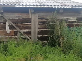 нежилое здание, площадь: 12кв.м, кадастровый номер: 53:20:0100807:13 и право аренды на земельный участок, площадь: 815 кв.м., кадастровый номер: 53:20:0100807:5, категория земель: земли населенных пунктов, вид разрешенного использования: длч индивидуальной жилой застройки, адрес: новгородская…