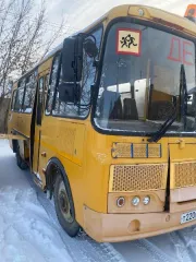 Автобус для перевозки детей PAZ 32053-70, 2015 г. Транспортное средство: автобус для перевозки детей, марки PAZ-32053-70, категория D, 2015 год изготовления, идентификационный номер (VIN): X1M3205ВXF0002020, № двигателя:523420 F1002702, шасси (рама) № отсутствует, кузов (кабина, прицеп) №…