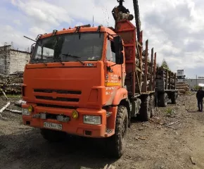 КАМАЗ-43118, автомобиль сортиментовоз с КМУ, 2017 года выпуска, регистрационный номер Е739АУ196, идентификационный номер (VIN): Z9L780642H0000030