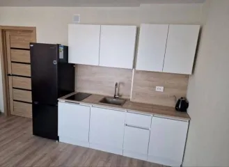 Квартира 28,7 кв.м, Новосибирск, ул. Зорге. Квартира, площадь: 28.7 кв.м., адрес (местонахождение): Новосибирская область, город Новосибирск, улица Зорге, д. 229/3, кв. 276, кадастровый номер: 54:35:051945:724.