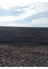 Земельный участок площадью 700000 кв.м. Воронежская область, Борисоглебский городской округ, село Макашевка, 3,2 км по направлению на северо-восток. Назначение: земли сельскохозяйственного назначения. Кадастровый номер: 36:04:2400002:33. Продается 3/14 доли земельного участка.