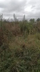 Дом 34,9 кв.м и земельный участок 1697 кв.м в Ульяновской области, Вешкаймский район, поселок городского типа Чуфарово, улица Комарова, дом 18. Кадастровый номер участка: 73:03:030705:21, назначение: земли населенных пунктов. Кадастровый номер дома: 73:03:030705:127, назначение: жилой дом…